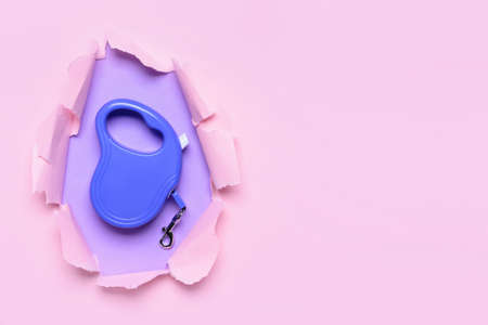 Retractable leash for dog on color backgroundの写真素材