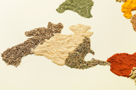 Continent North America made of spices on light backgroundの写真素材