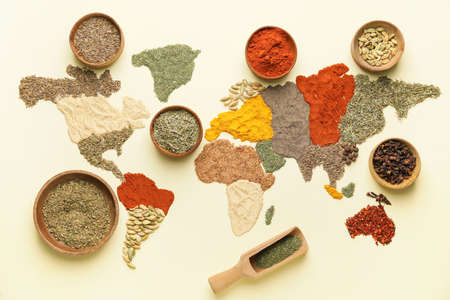 World map made of spices on light backgroundの写真素材