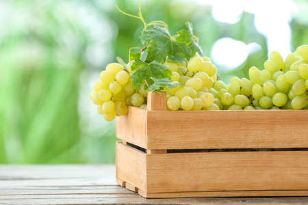 Wooden box with ripe grapes on table outdoorsの写真素材