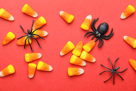 Tasty candies for Halloween and spiders on color backgroundの写真素材