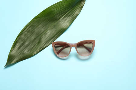 Stylish sunglasses and tropical leaf on color background