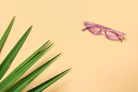 Stylish sunglasses and tropical leaf on color backgroundの写真素材