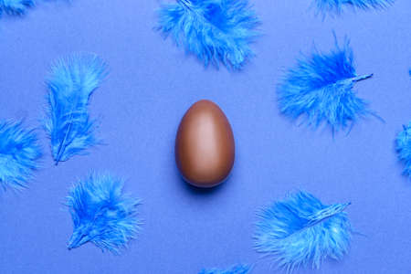 Tasty chocolate egg with bird feathers on backgroundの写真素材
