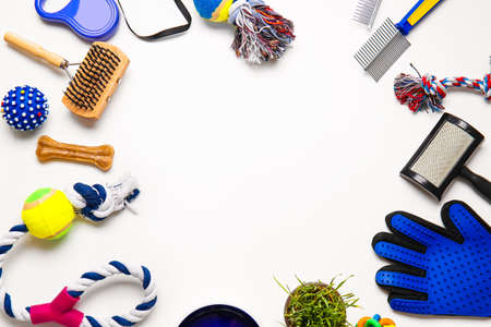 Frame made of different pet care accessories on white background