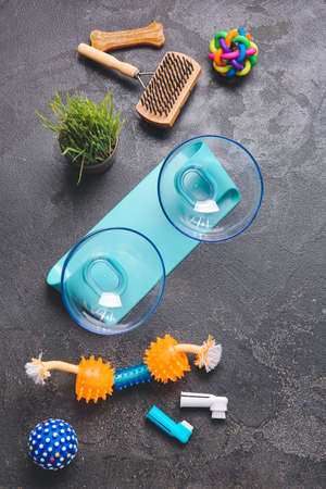 Different pet care accessories on dark background