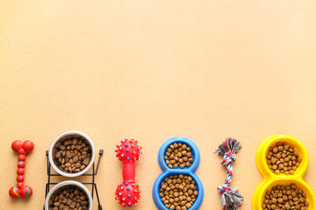 Bowl with pet food and accessories on color backgroundの写真素材