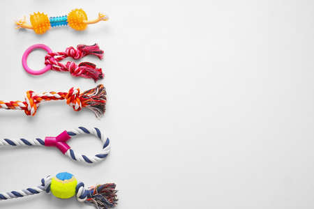 Different pet care accessories on white background