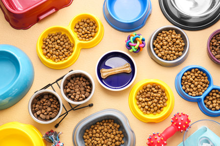 Bowls with pet food and accessories on color background, closeupの写真素材