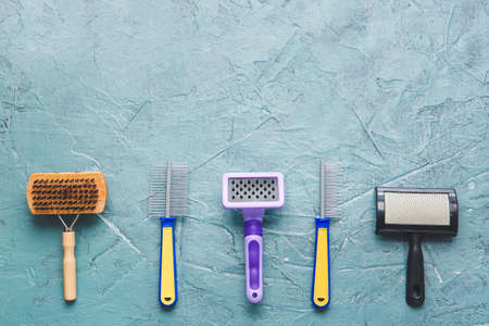 Different grooming brushes and combs for pet on color backgroundの写真素材