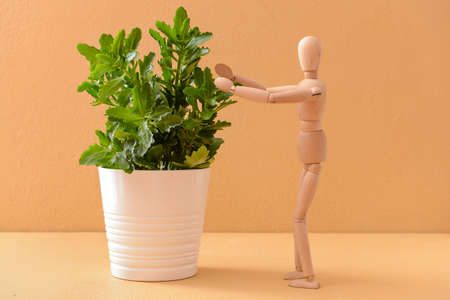 Wooden mannequin with houseplant on color backgroundの写真素材