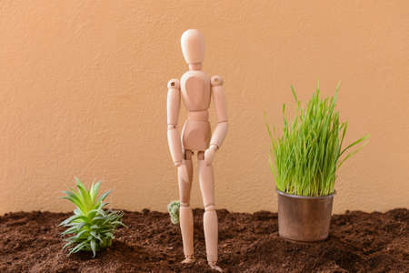 Wooden mannequin with plants and soil on color backgroundの写真素材