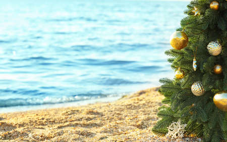 Decorated Christmas tree on sea beach. Vacation conceptの写真素材