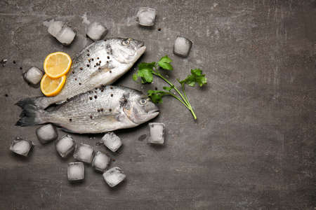 Raw dorado fish with spices and ice on dark backgroundの写真素材
