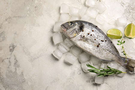 Raw dorado fish with spices and ice on light backgroundの写真素材