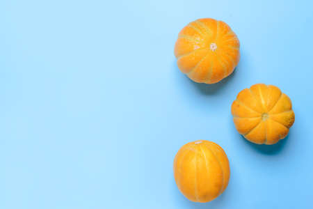 Sweet ripe melons on color backgroundの写真素材