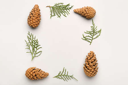 Beautiful Christmas composition on light backgroundの写真素材