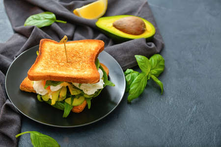Plate with tasty sandwich on dark backgroundの写真素材