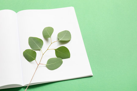 Blank magazine and branch on color backgroundの写真素材