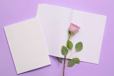 Blank magazines and flower on color background