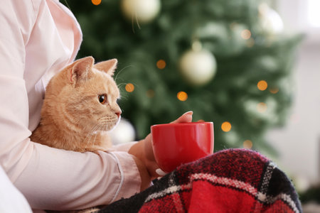 Woman with cute cat drinking hot chocolate at home on Christmas eveの写真素材