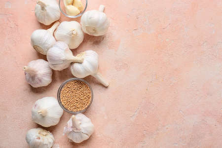 Fresh garlic with spices on color background