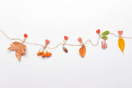 Beautiful autumn composition on white backgroundの写真素材