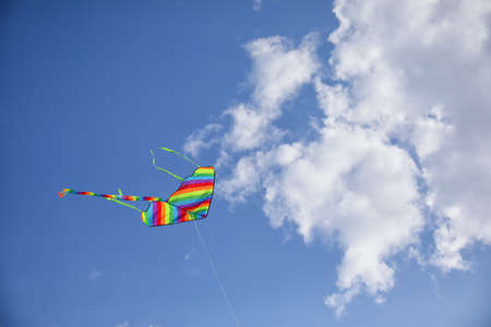 Colorful kite flying in blue skyの写真素材