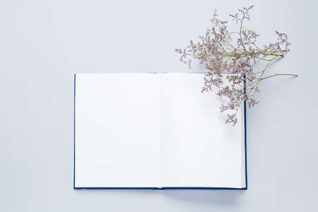 Blank open book and flower on light background