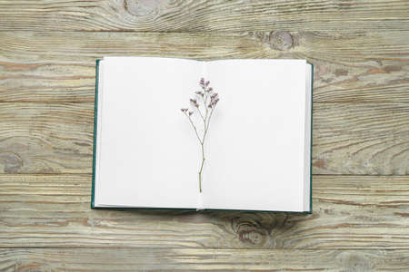 Blank open book and flower on wooden background