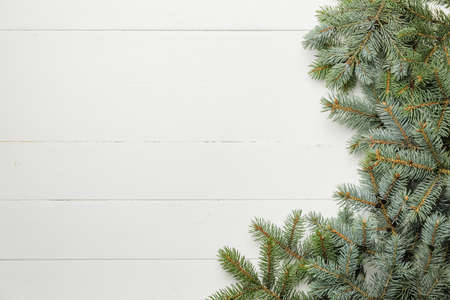 Christmas tree branches on white wooden backgroundの写真素材