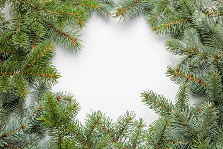 Frame made of Christmas tree branches on white backgroundの写真素材