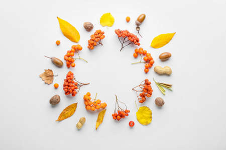 Beautiful autumn composition on white background