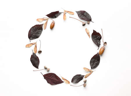 Beautiful autumn composition on white background