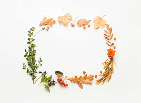 Beautiful autumn composition on white backgroundの写真素材