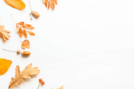 Beautiful autumn composition on white background