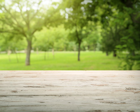 Empty wooden table in parkの写真素材
