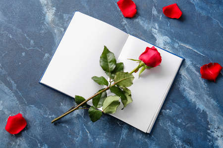Book with blank pages and beautiful red rose on color backgroundの写真素材