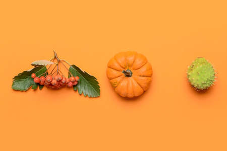 Beautiful autumn composition on color backgroundの写真素材