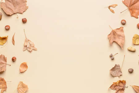Beautiful autumn composition on light background
