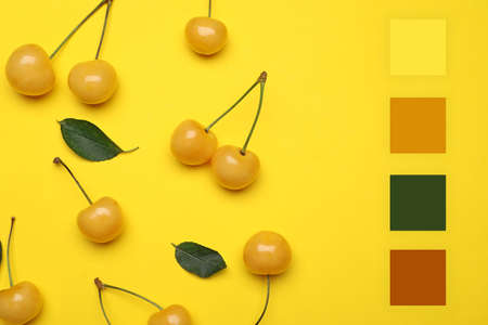 Tasty sweet cherries on yellow background. Different color patternsの写真素材