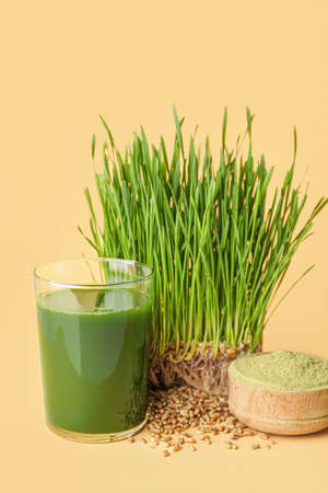 Glass with fresh wheatgrass juice and powder on color backgroundの写真素材