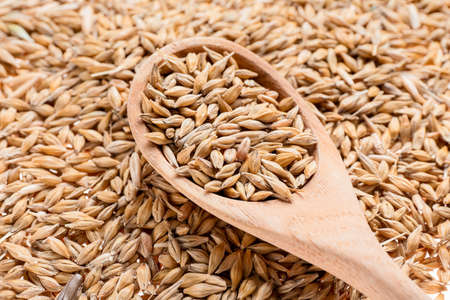 Spoon with dry oats, closeupの写真素材