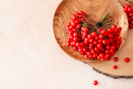 Plate with fresh viburnum berries on white backgroundの写真素材
