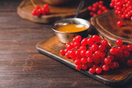 Fresh viburnum berries with honey on tableの写真素材