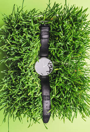 Wrist watch on green grass