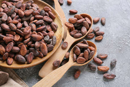 Plate and spoons with cacao beans on grunge backgroundの写真素材