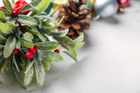 Mistletoe branch on white backgroundの写真素材