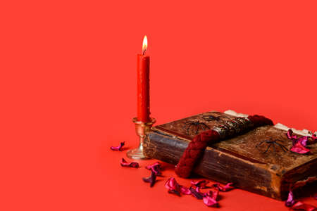 Accessories of fortune teller on color background