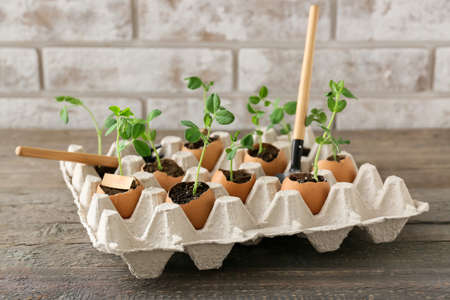 Cardboard box with seedlings and gardening tools on wooden table